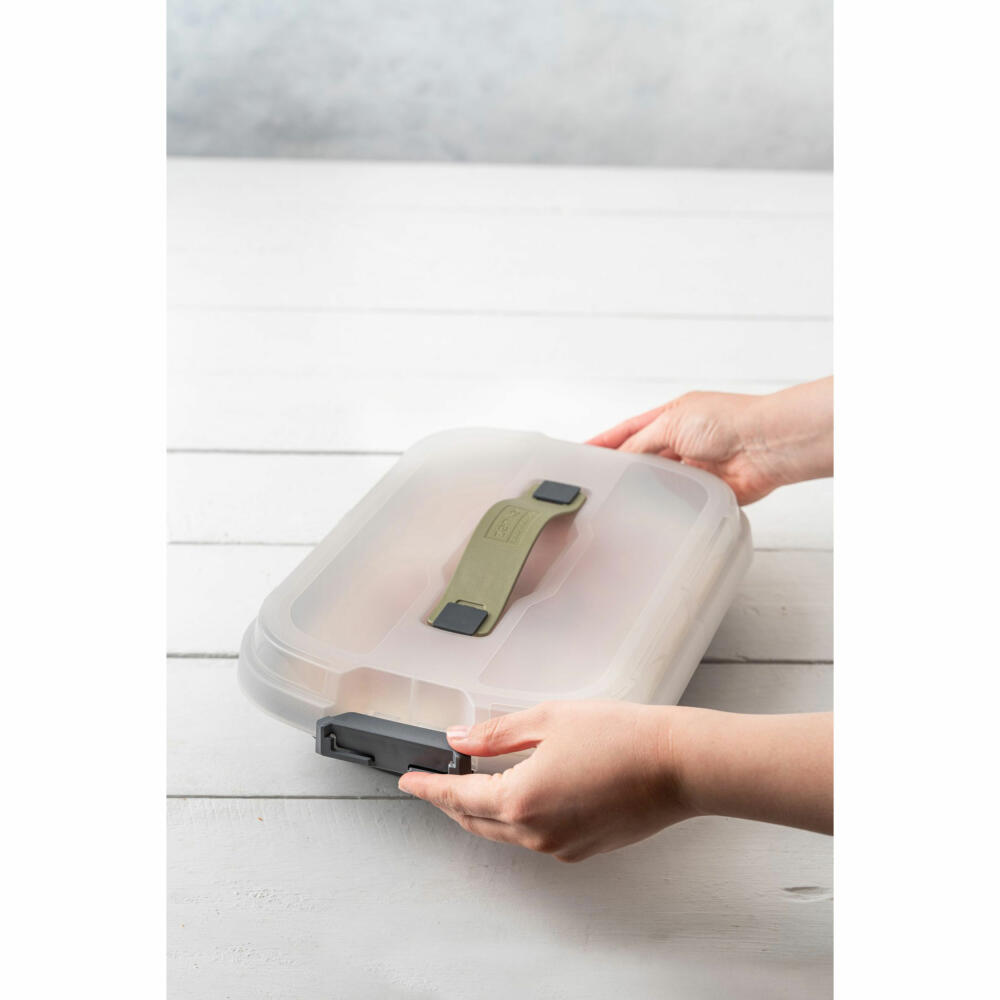 Zenker Dessert-und Auflaufform Bake, Click und Go mit Transporthaube, Backform, Stahlblech, Schwarz, Sparkling Green, Transparent, 34 x 25 cm, 7907