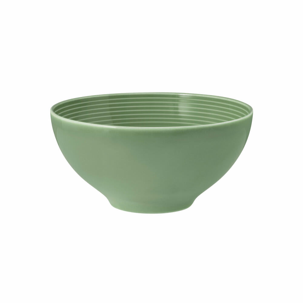 Seltmann Weiden Beat Salbeigrün Schüssel Rund, Schale, Müslischüssel, Suppenschüssel, Porzellan, Grün, Ø 15.5 cm, 001.751329