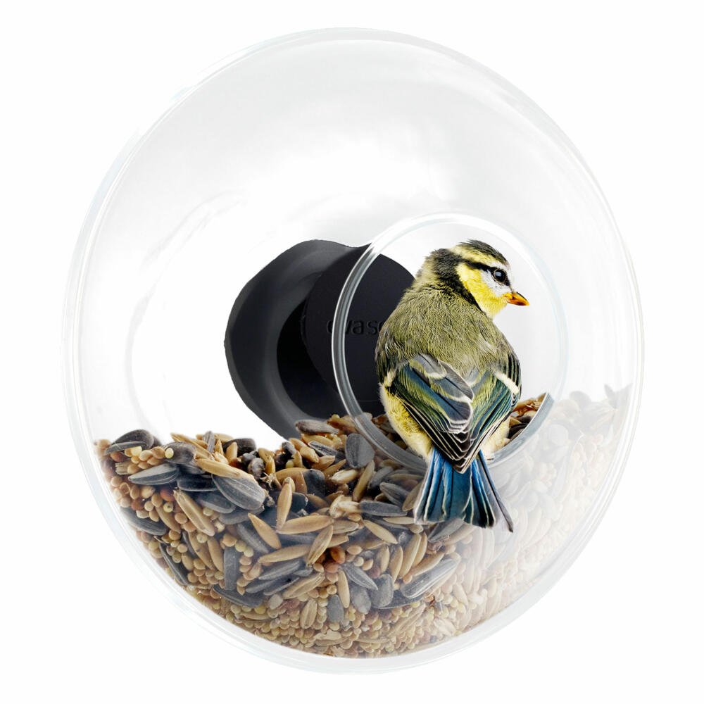 Eva Solo Fensterfutterkugel, Vogelfutterhaus, Futterhaus, Gummi/Glas/Edelstahl, Transparent, Ø 14.5 cm, 571048