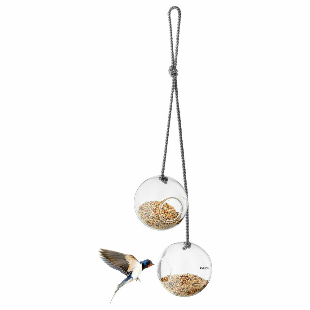 Eva Solo Glasfutterkugeln, Futterhaus, Futterstation, Vogelfutter, Winter, Draußen, Borosilikatglas/Nylon, Transparent, 2er Set, Ø 9.5 cm, 571019