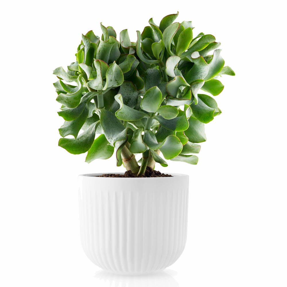 Eva Solo Legio Nova Übertopf Groß, Blumentopf, Pflanzentopf, Porzellan, Weiß, H 13 cm, 887298