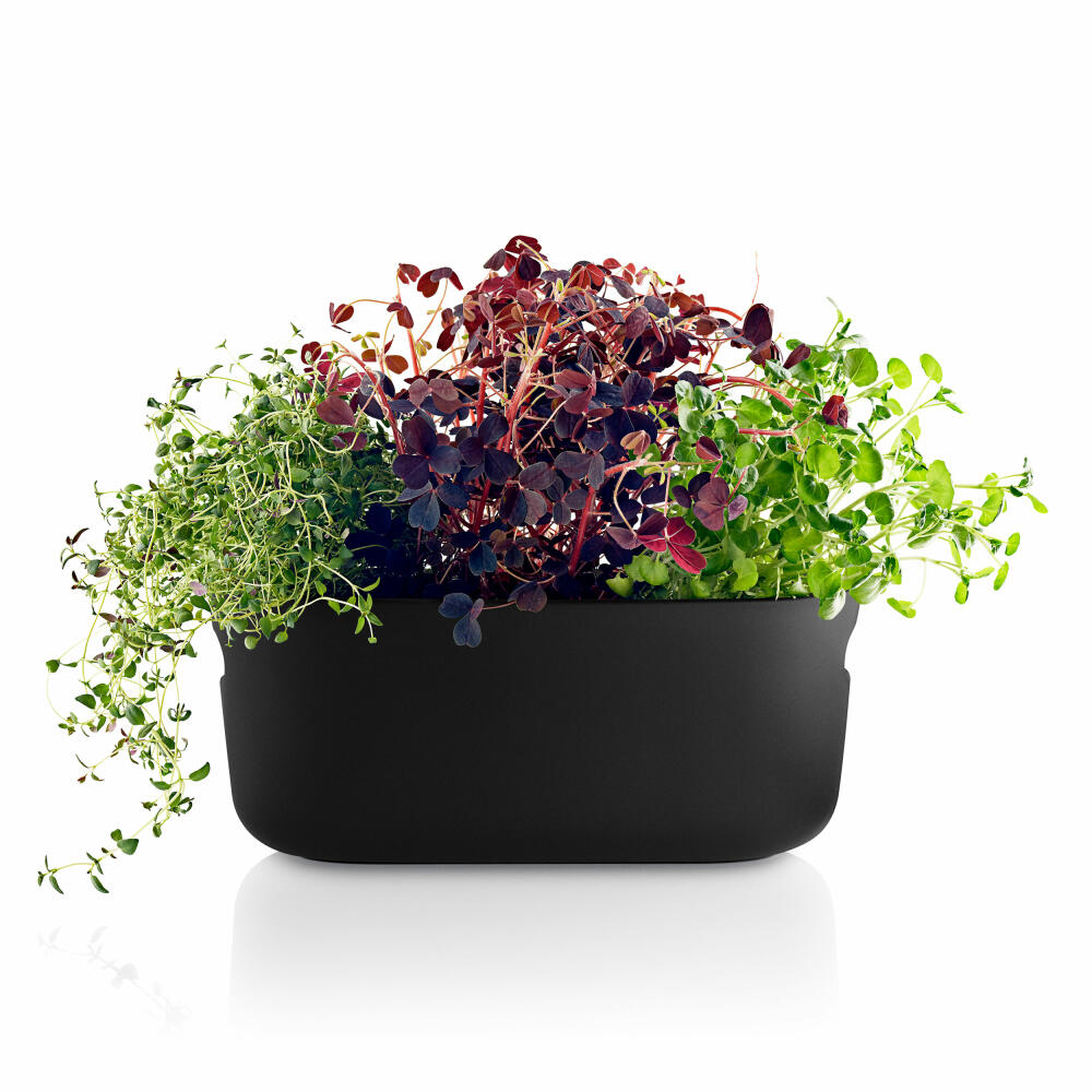 Eva Solo Self-Watering Herb Organizer, Herb Pot with Irrigation System, Herb Pot, Herbs, Ceramic/Plastic, Black, 568169