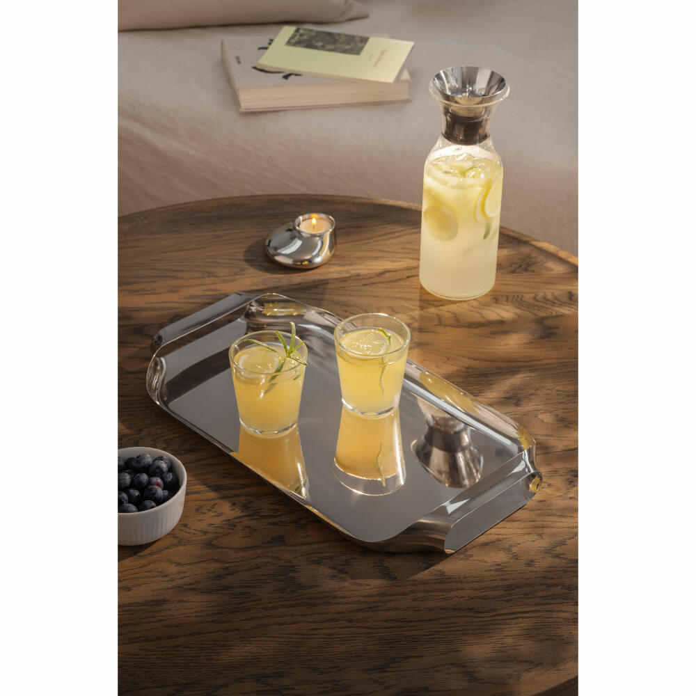 Eva Solo Serviertablett Polished Steel, Tablett, Edelstahl, Silberfarben, 43 x 25 cm, 530601