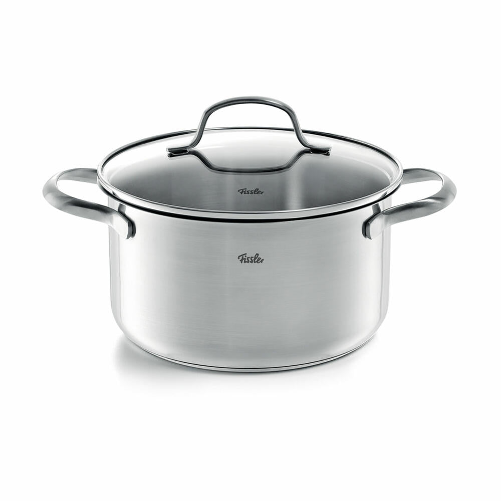 Fissler Kochtopf San Francisco mit Glasdeckel, Edelstahl 18/10, 20 cm, 040-113-20-000
