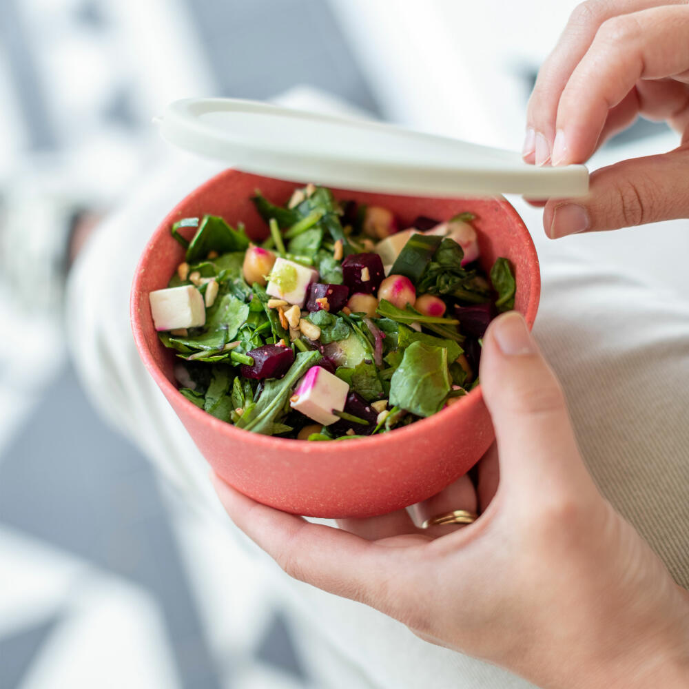 Koziol Schale Connect Bowl Mit Deckel, Schüssel, Kunststoff-Holz-Mix, Nature Coral, 400 ml, 7202704