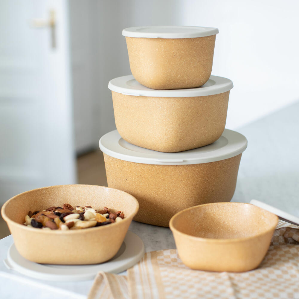 Koziol Box with Lid Connect Box, Lunch Box, Plastic-Wood Mix, Nature Desert Sand, 1.3 L, 7275700