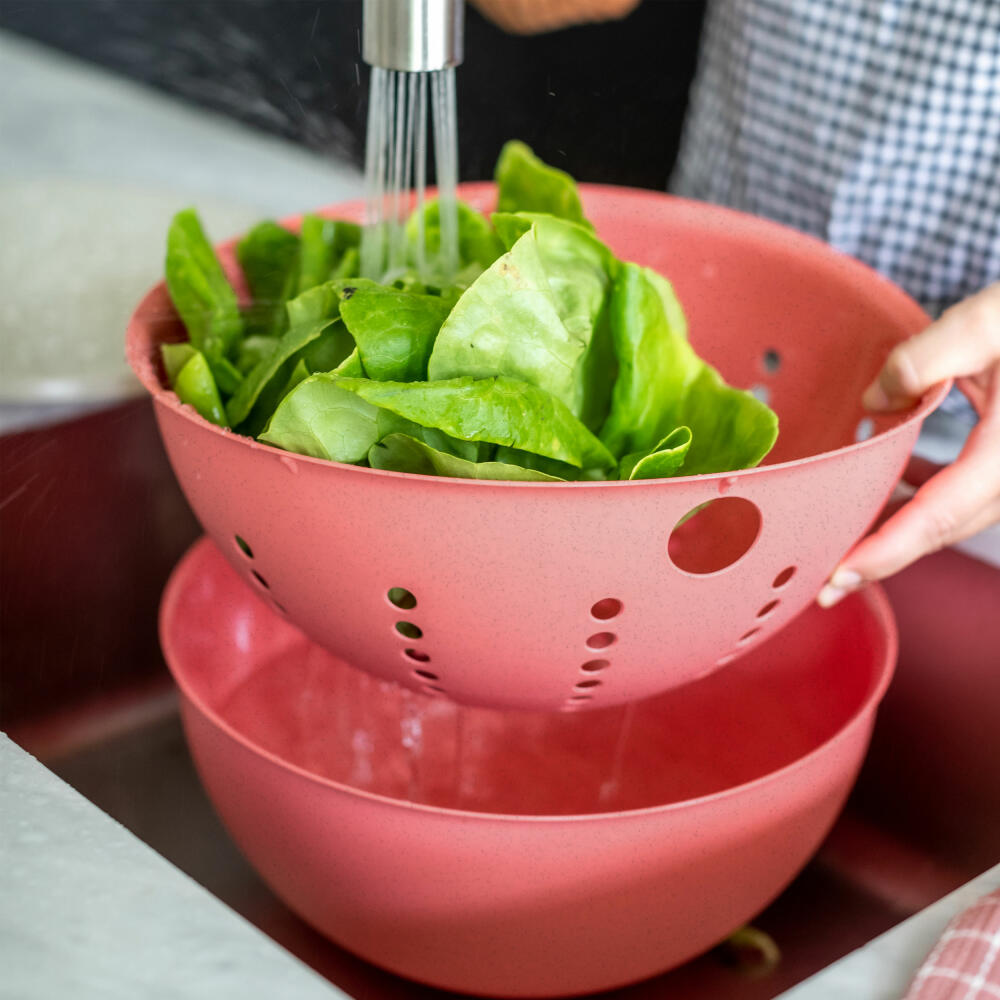 Koziol Sieher Palsby L, pasta strainer, kitchen strainer, plastic-wood mix, Nature Leaf Green, 5 L, 7808703