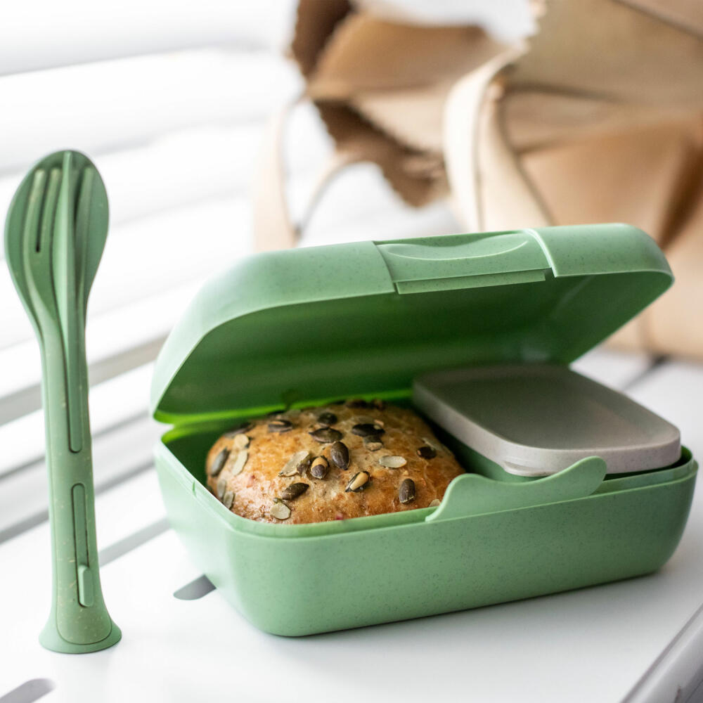 Koziol Lunchbox-Set + Besteck-Set Candy Ready, Kunststoff-Holz-Mix, Nature Leaf Green, 7272703