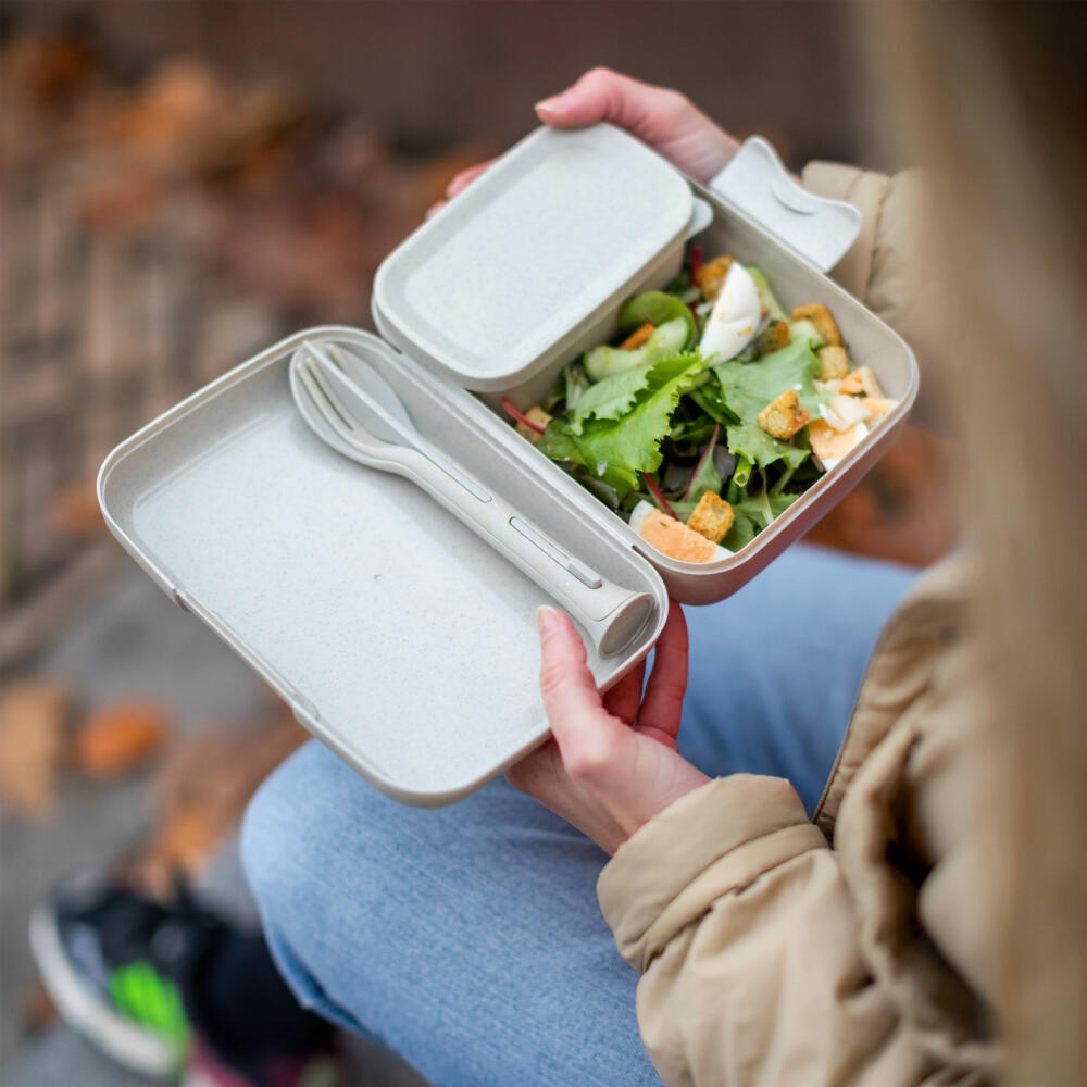 Koziol Lunchbox-Set + Besteck-Set Candy Ready, Kunststoff-Holz-Mix, Nature Desert Sand, 7272700