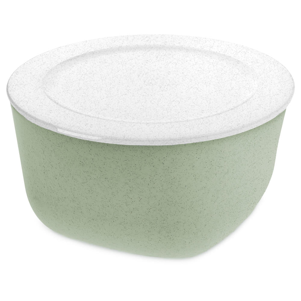 Koziol Box mit Deckel Connect XL, Frischhaltedose, Dose, Aufbewahrung, Thermoplastischer Kunststoff, Organic Green/Organic White, 4 L, 3872294