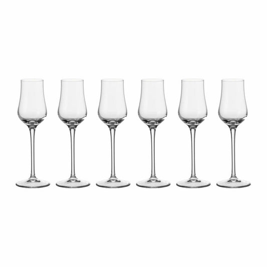 Leonardo Ciao+ Grappa glass set of 6, shot glass, aperitif glass, glass, extremely shockproof, 80 ml, 19834