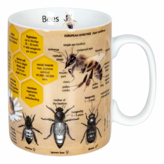 Könitz Knowledge Mug Bees Mug, Coffee Mug, Tea Cup, Cup, Porcelain, 360 ml, 11 1 330 2446