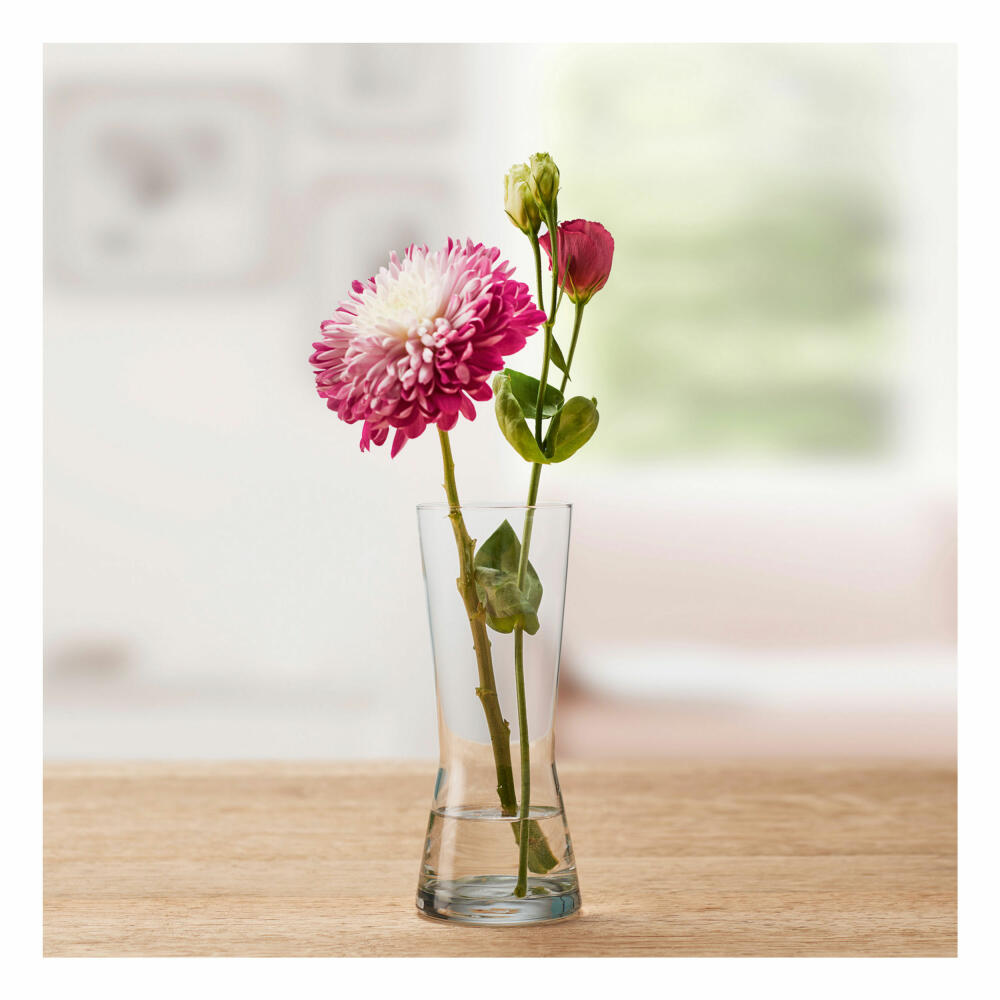 montana: :flower vase, set of 6, flower vase, decorative vase, glass vase, flowers, glass, H 19 cm, 063523