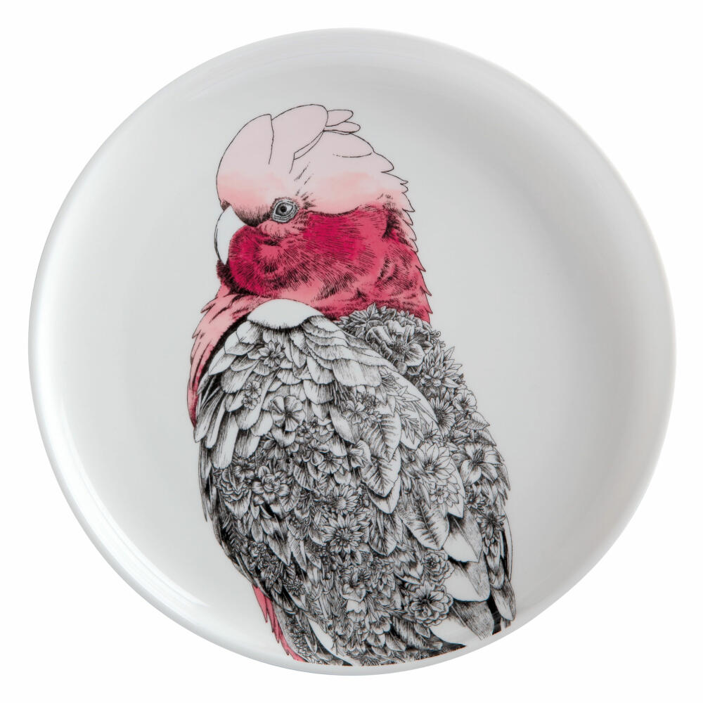 Maxwell &amp; Williams Marini Ferlazzo Galah Dinner Plate, Premium Ceramic, Colorful, 20 cm, DX0589