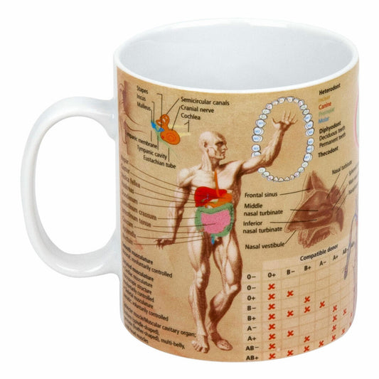 Könitz Medicine Knowledge Mug English, Mug, Cup, Coffee Cup, Porcelain, 460 ml, 11 1 330 1909