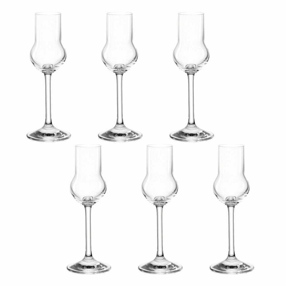 montana: :pure Obstlerglas, 6er Set, Schnapsglas, Grappaglas, Obstbrandglas, Obstler, Glas, 20 ml, 042434