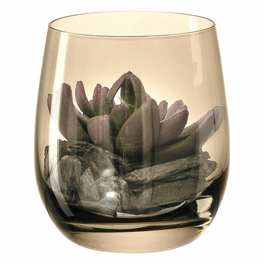 Leonardo Modo decoration set with succulent, vase, glass vase, decoration, plant, houseplant, marrone, 10 cm, 046518