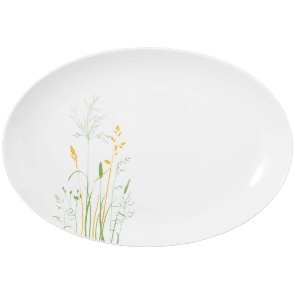 Seltmann Weiden Liberty Platter Oval, Serving Platter, Serving Plate, Porcelain, Meadow Grasses Green, 35.1 x 24.2 cm, 001.768790