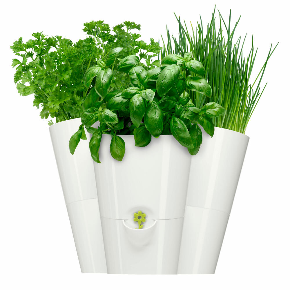 Poétic Fresh Herbs Trio Kräutertopf, Kräuter Topf, Küchenkräuter, Pflanzentopf, Weiß, P3FH13BL