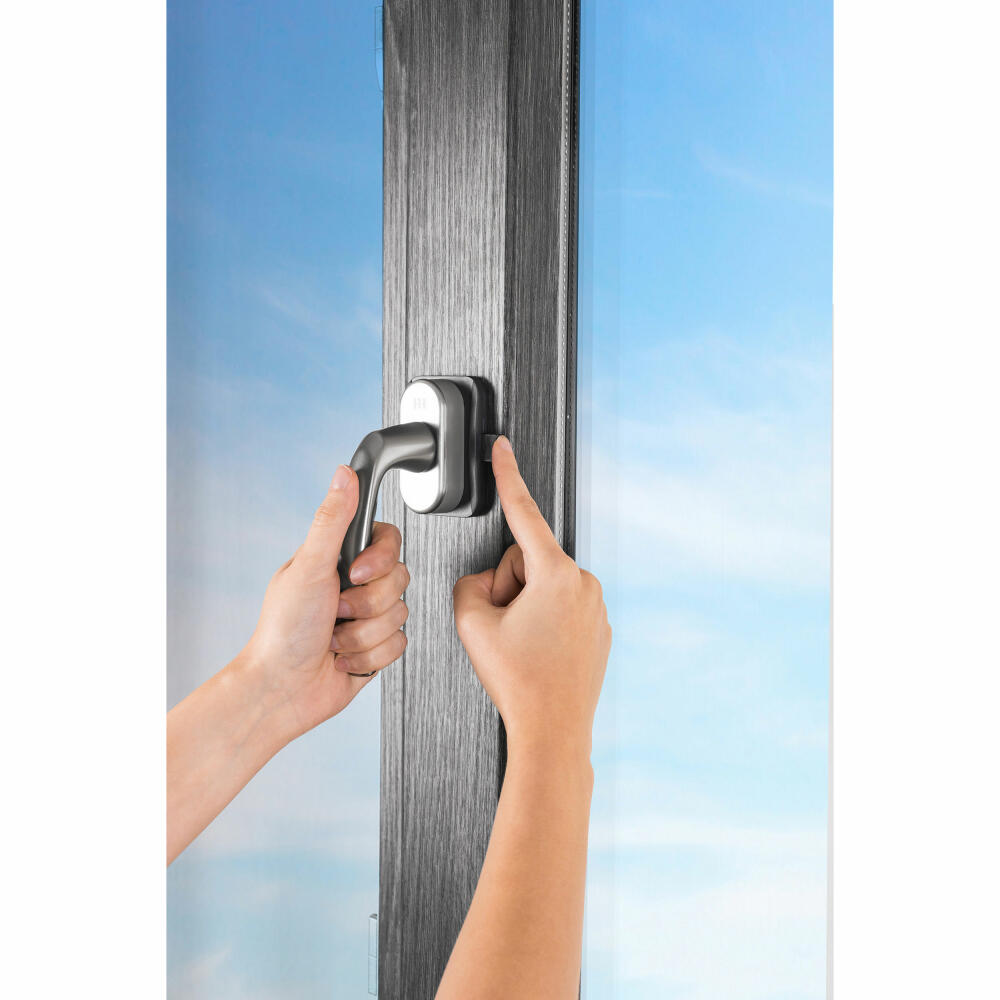 reer WinLock Fenster- und Balkontürsicherung, Fenstersicherung, Kinder Sicherung, Klemmschutz, Anthrazit, 70021