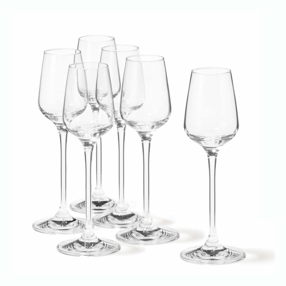 Leonardo Tivoli Digestiv Glas 6er Set, Digestivglas, Grappaglas, Likör, Schnapsglas, Glas, 20 ml, 17091
