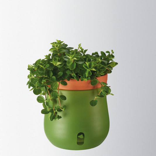 Leonardo Serra Pflanztopf L, 4er Set, Blumentopf, Blumen Topf, Pflanzentopf, Blumenkübel, Pflanzkübel, Grün, 057777
