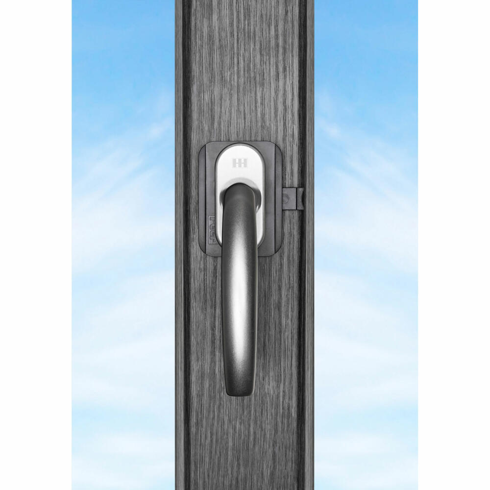 reer WinLock Fenster- und Balkontürsicherung, Fenstersicherung, Kinder Sicherung, Klemmschutz, Anthrazit, 70021