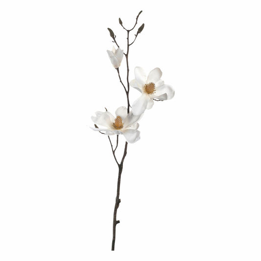 Leonardo Fiore Magnolia, set of 12, artificial flower, flower branch, blossom branch, decorative branch, flower branch, decoration, white, 80 cm, 031693