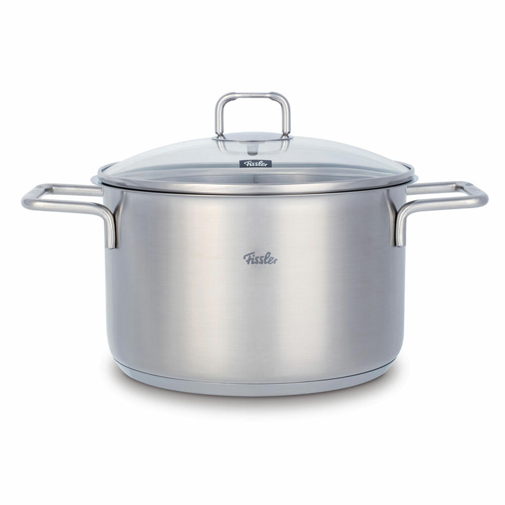 Fissler Hamburg cooking pot with glass lid, stainless steel 18/10, 20 cm, 081-110-20-000