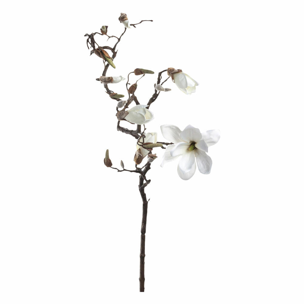 Leonardo Fiore Magnolia, artificial flower, flower branch, blossom branch, decorative branch, flower branch, decoration, white, 140 cm, 031694