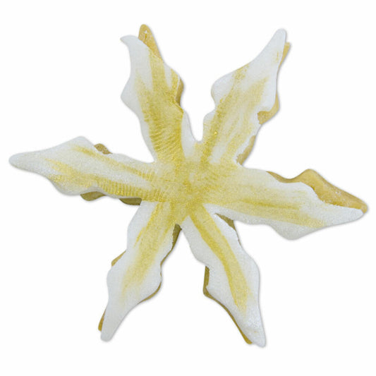 Städter Ausstecher Eiskristall, Ausstechform, Plätzchenform, Keks, Plätzchen, Weißblech, 6 cm, 175082