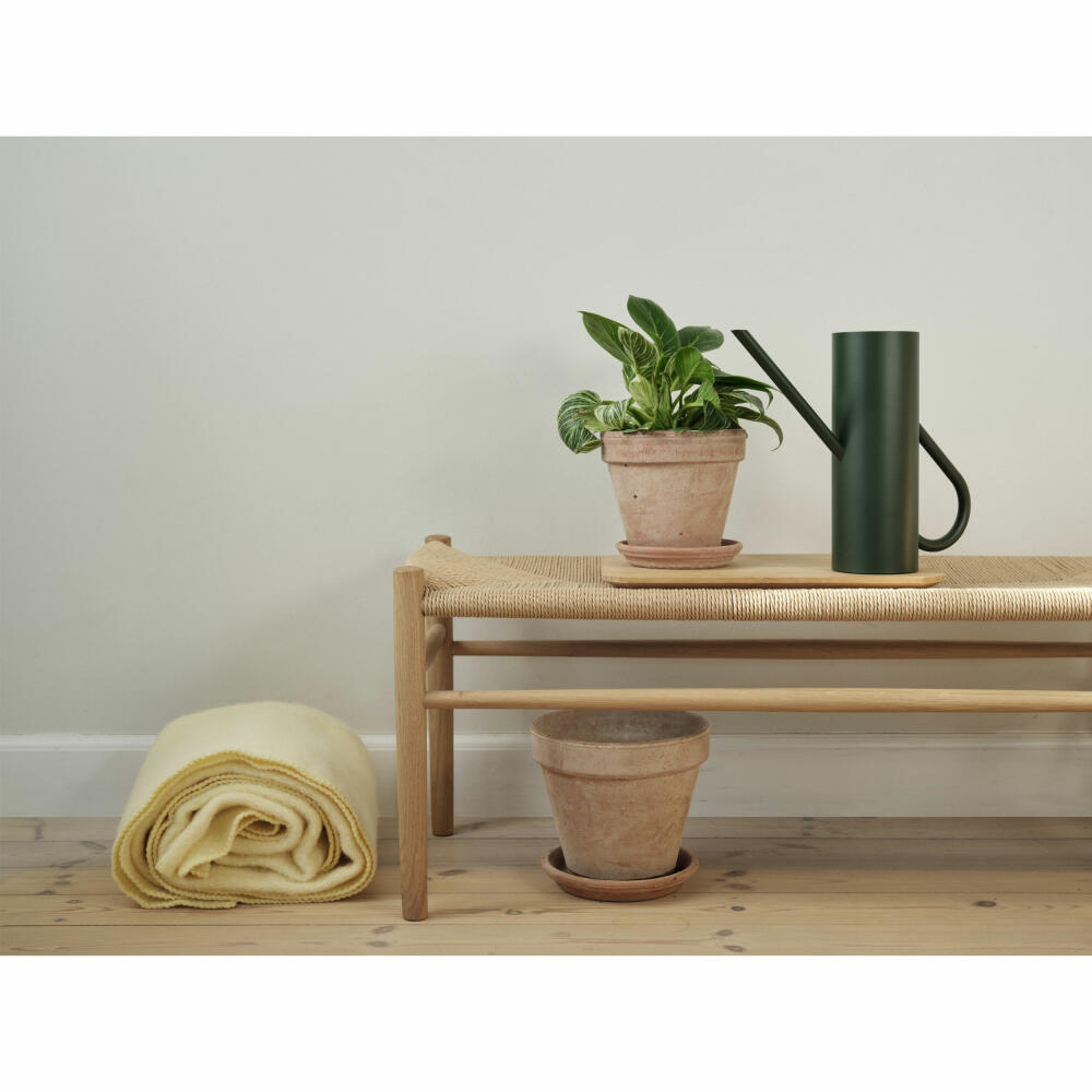 Stelton Bloom Blumengießkanne Pine, Zimmergießkanne, Edelstahl, Grün, 2 L, 345