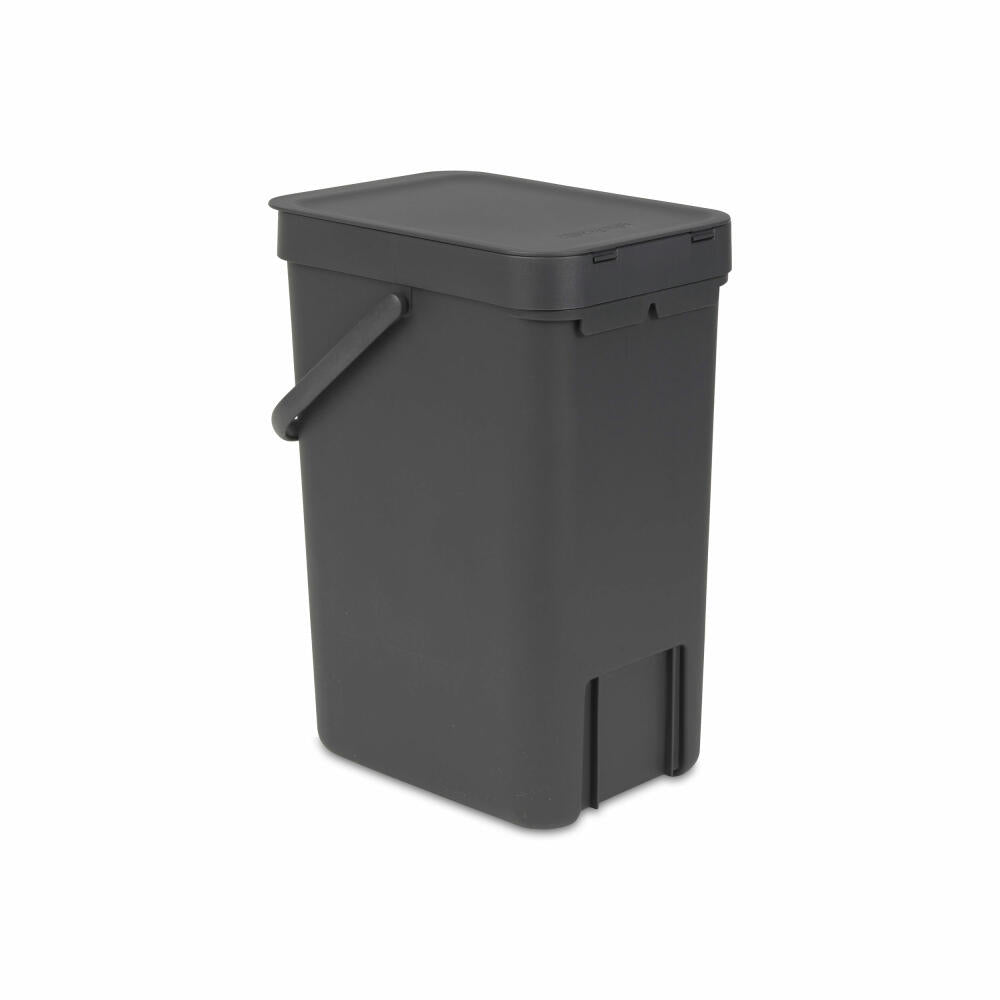 Brabantia Sort & Go Abfallbehälter, Müllbehälter, Mülleimer, Behälter, Grey, 12 L, 109805