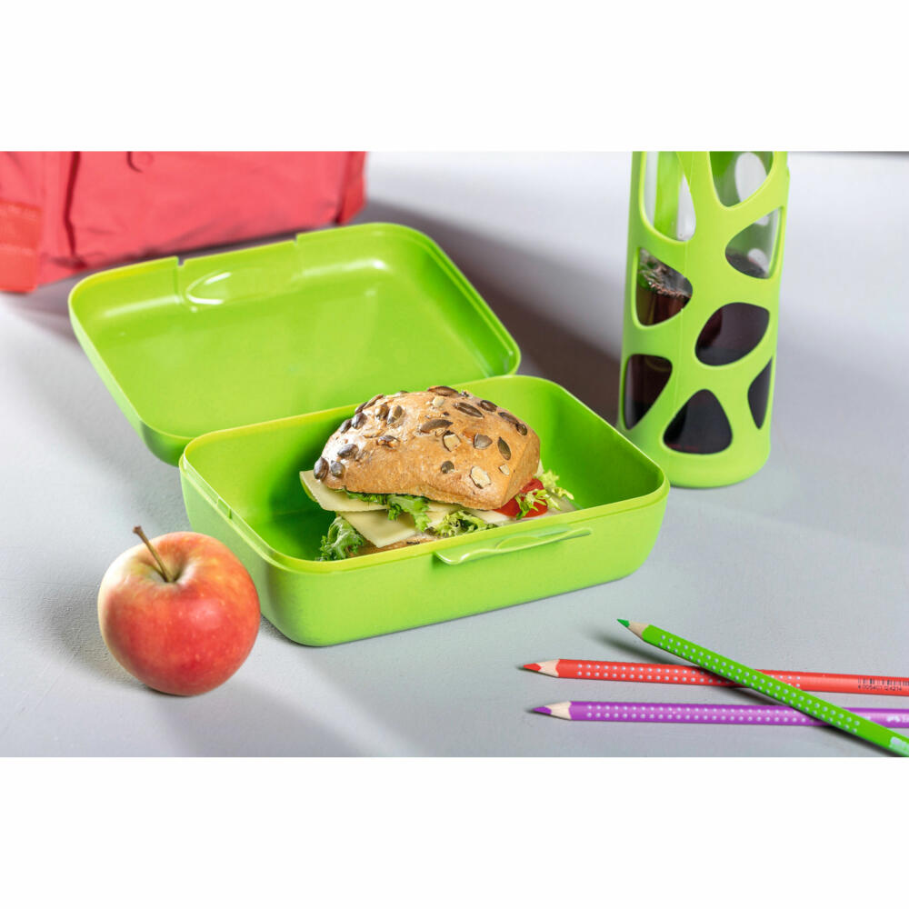 Leonardo Brotdose Bambini Panda, Frühstücksdose, Lunchbox, Kunststoff, grün, 022859
