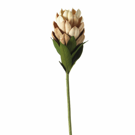 Leonardo Palladio Flower closed, decoration, room embellishment, natural look, other, H 50 cm, 62972