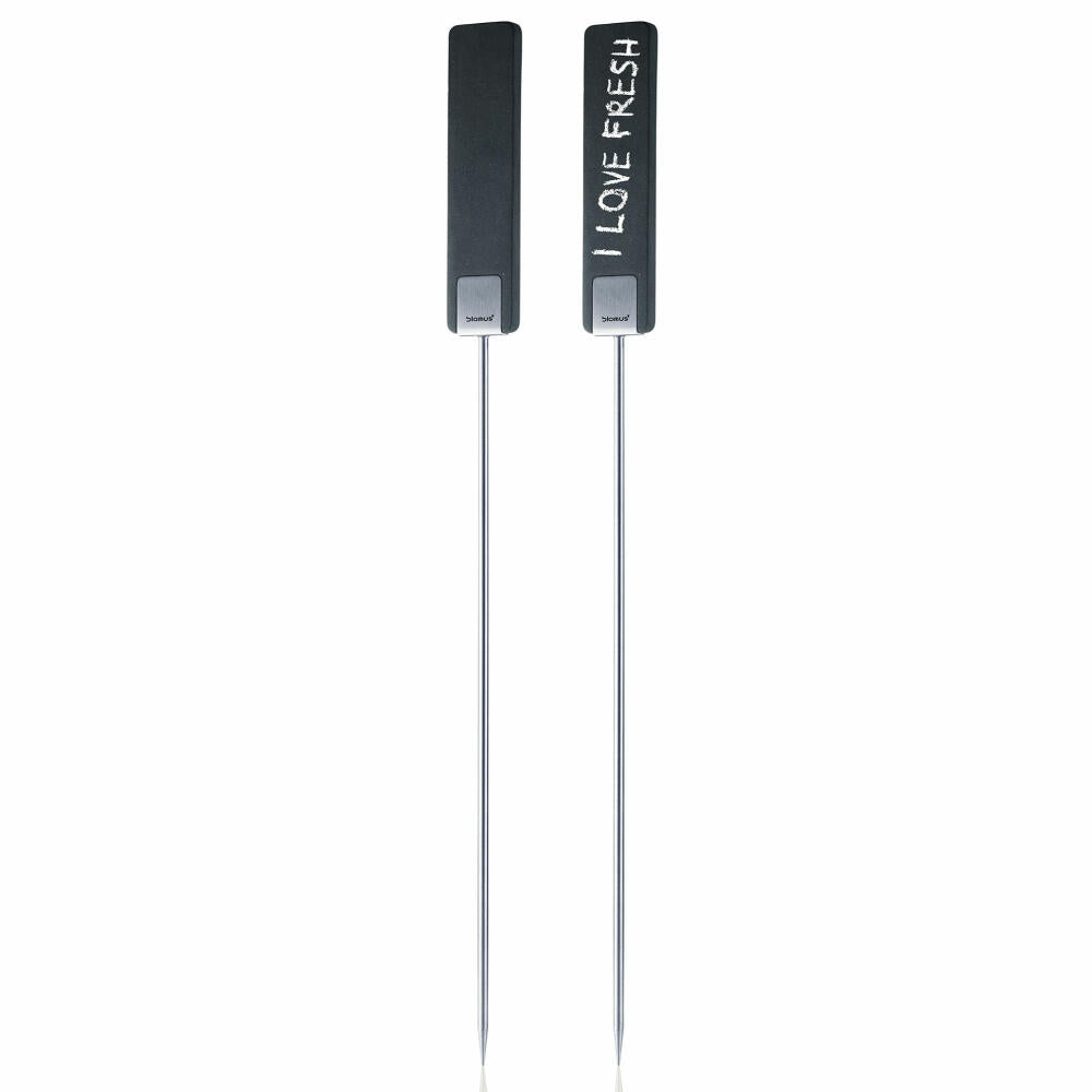 Blomus Planta Pflanzenstecker 2er Set, Steckschilder, Stecketiketten, Beschreibbar, Edelstahl Matt / Polystone, 40x3x0.5cm, 65393