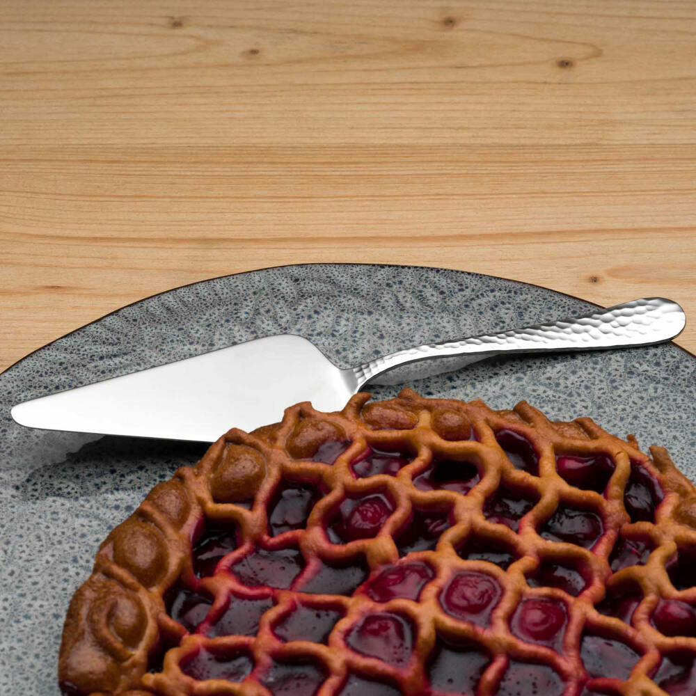 Leonardo Tortenheber Matera, Kuchenheber, Tortenschaufel, Edelstahl 18/10, Silberfarben, 24.6 cm, 071064