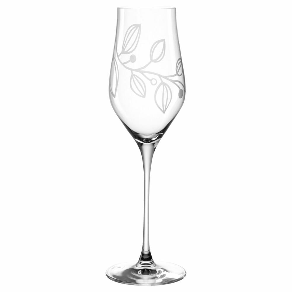 Leonardo Champagnerglas Boccio, Schaumweinglas, Kristallglas, Klar, 340 ml, 066432