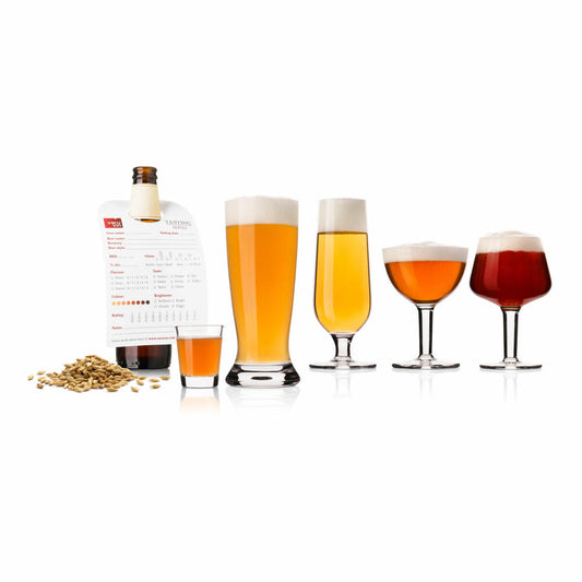 Vacu Vin Bierproben-Gläserset 5-tlg. mit Notizblock, Biergläser, Tasting Glas, Glas, Transparent, 76440604