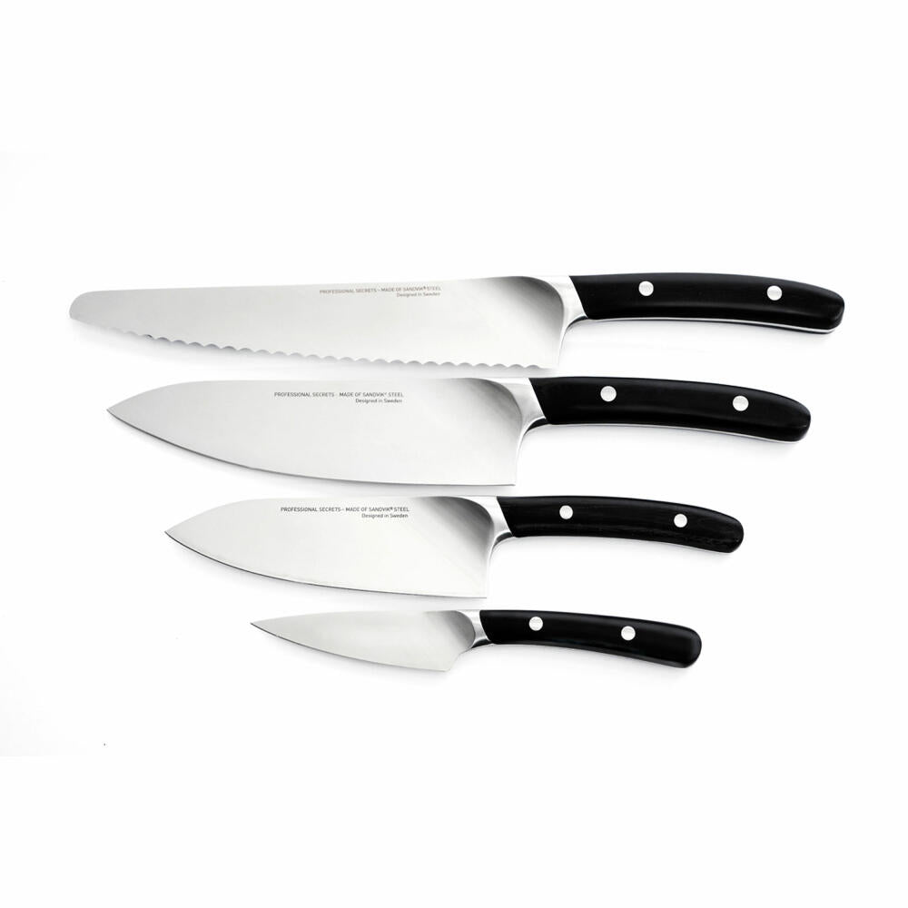 Professional Secrets kitchen knife set, chef's knife, bread knife, steel, fiberglass, 4-piece, 1067