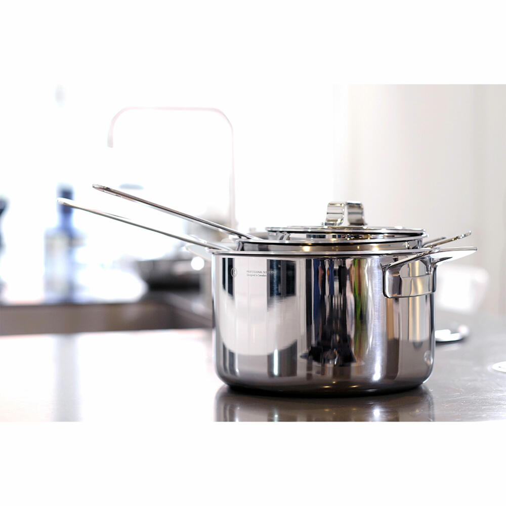 Professional Secrets cooking pot set, saucepan, cooking pot, with lid, steel, aluminum, 6-piece, 1069