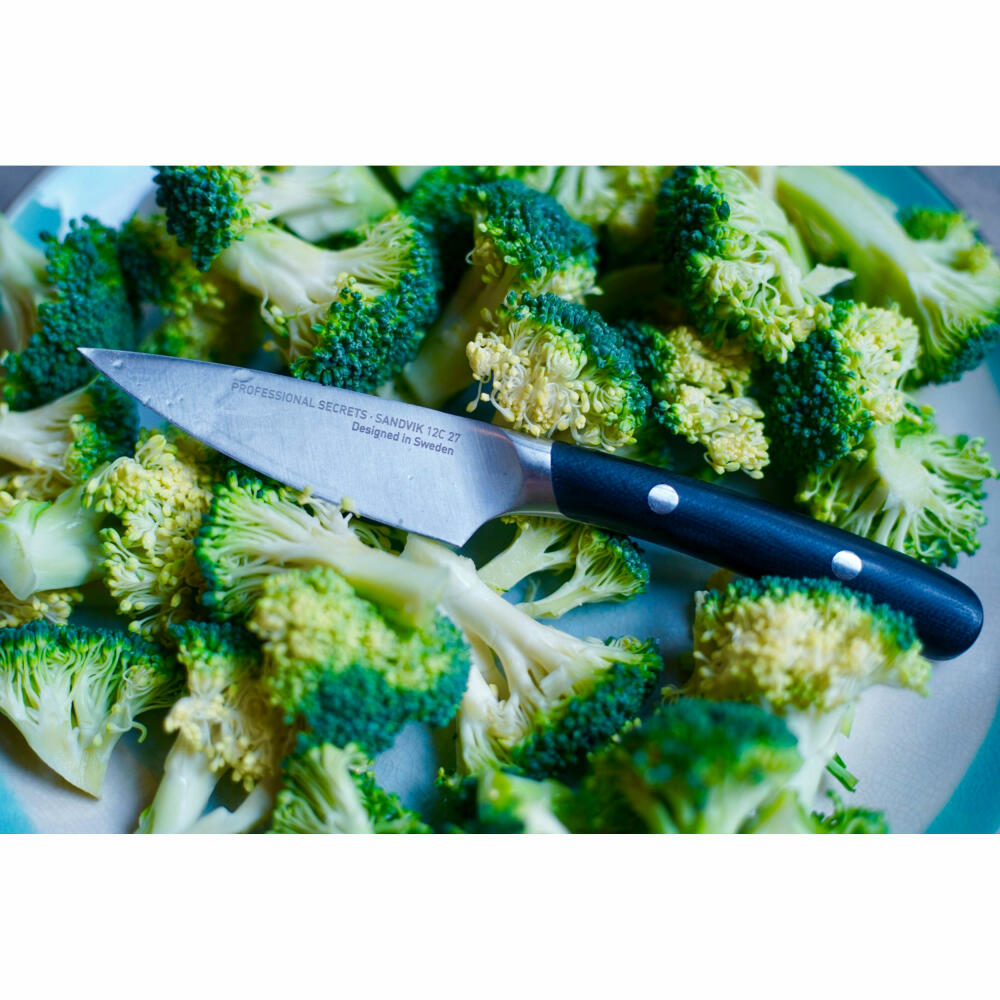 Professional Secrets Kitchen Gemüsemesser, Stahl / Glasfaser, Silberfarben / Schwarz, Gesamtlänge 19.5 cm, Klingenlänge 9 cm, 1031
