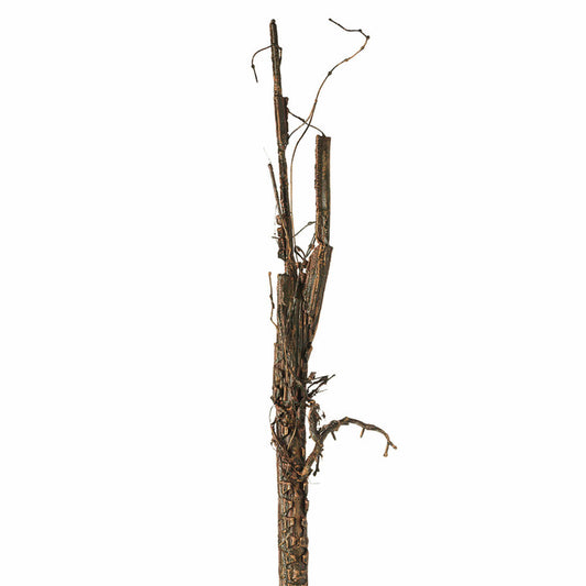 Leonardo Terra lychee branch, decoration, room embellishment, natural look, plastic, brown, H 76 cm, 78887