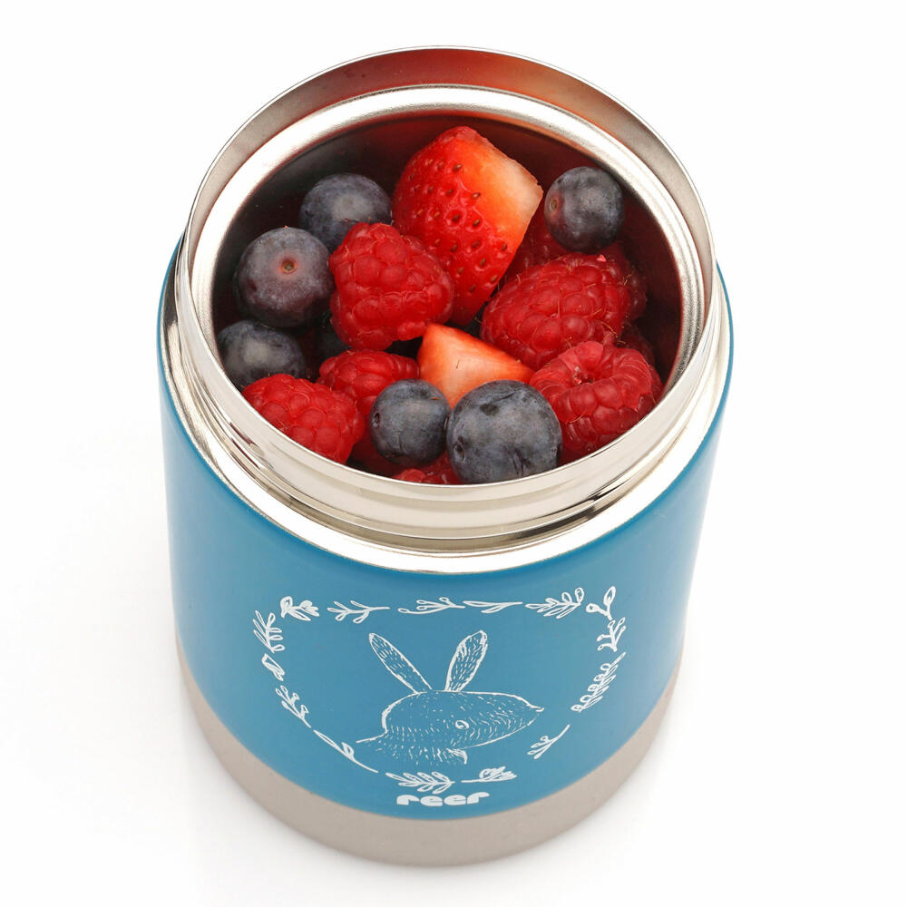 reer ColourDesign stainless steel warming box, thermo box, thermo container, baby food, petrol blue, 300 ml, 90411