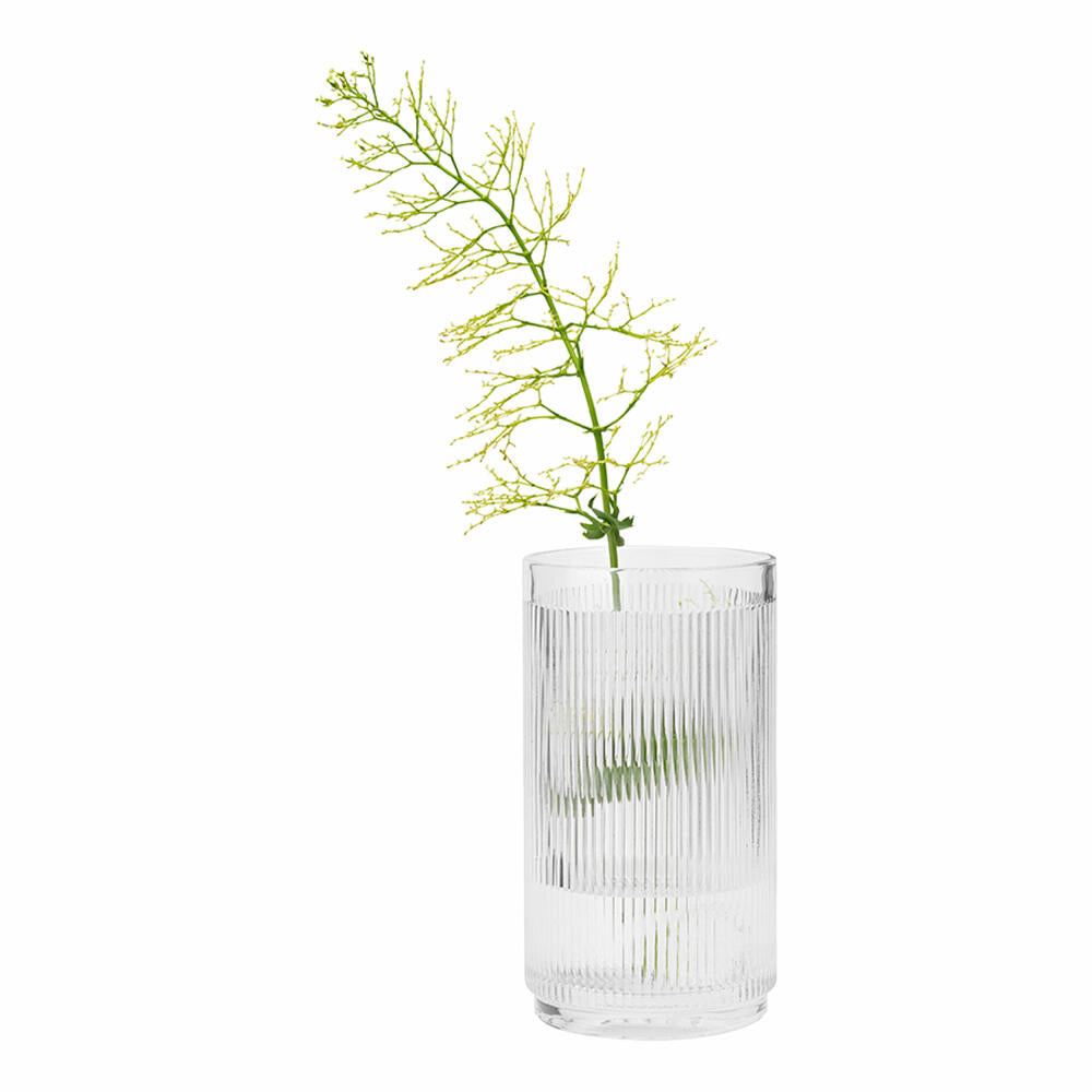 Stelton Weinkühler Pilastro, Flaschenkühler, Sektkühler, Glas, Transparent, 1.5 Liter, x-504