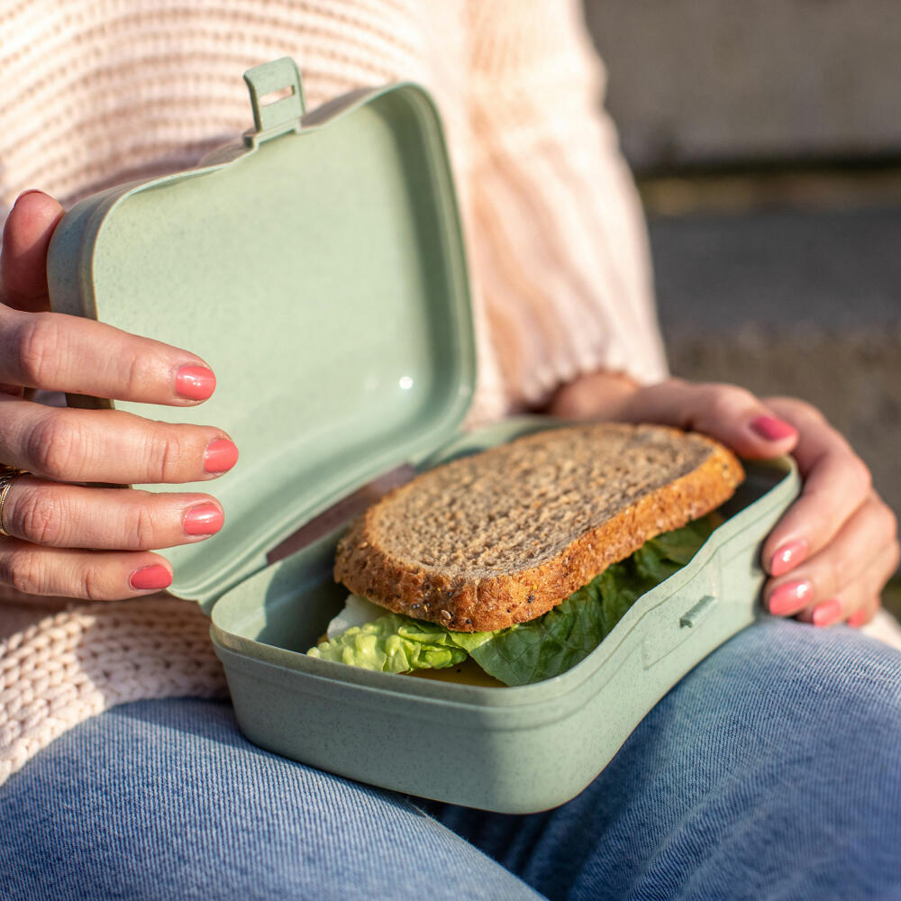 Koziol Lunchbox Basic, Brotdose, Speisegefäß, Brotbox, Thermoplastischer Kunststoff, Organic Pink, 3081669