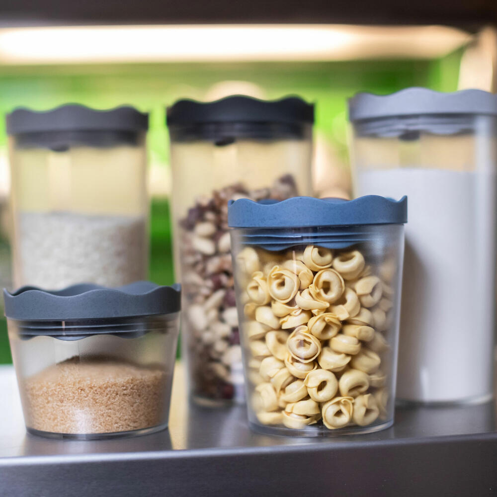 Koziol storage container 750ml Prince M, storage container, container, thermoplastic, Organic Deep Blue, 3085675