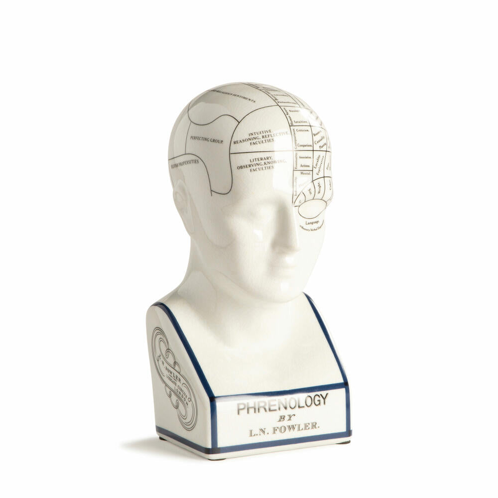 Authentic Models Decorative Figure Phrenology Skull Small, Desk Decoration, Ceramic, MG024