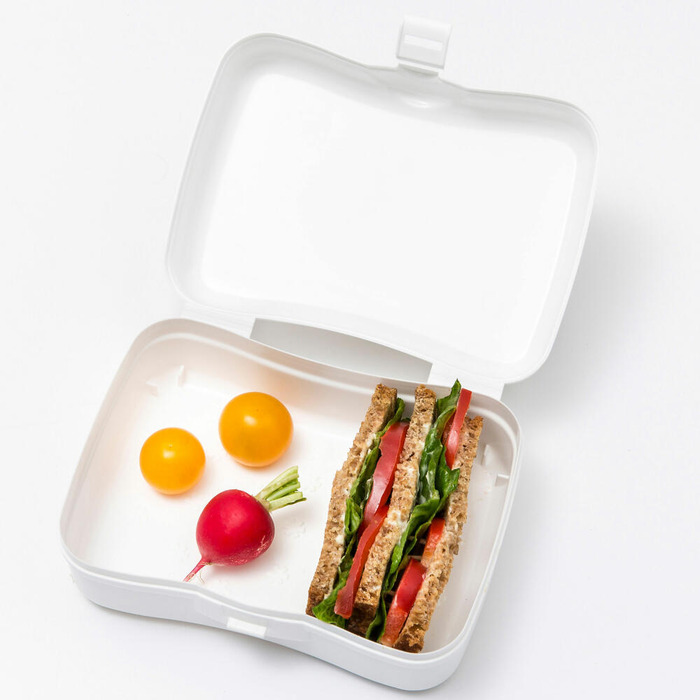 Koziol Lunchbox Basic, lunch box, food container, bread box, thermoplastic, Organic Blue, 3081671