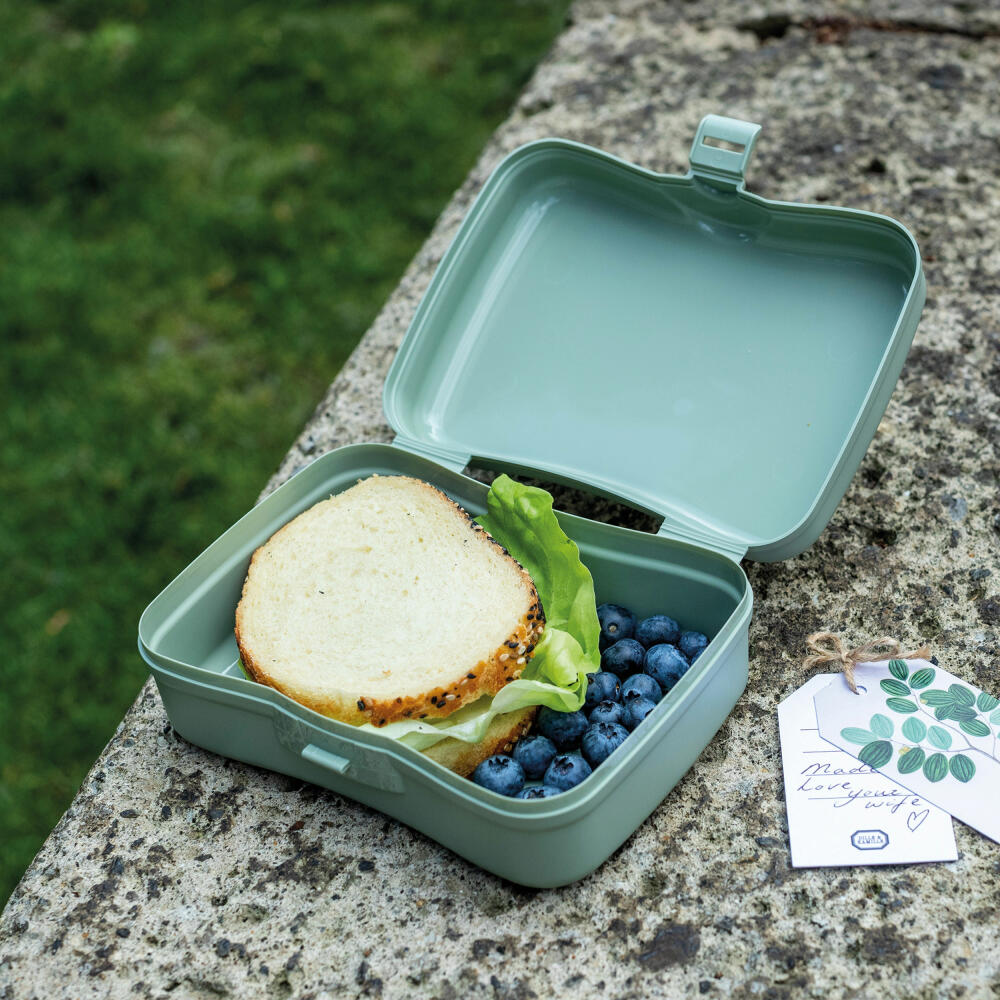 Koziol Lunchbox Basic, Brotdose, Speisegefäß, Brotbox, Thermoplastischer Kunststoff, Organic Green, 3081668